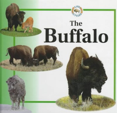 The buffalo / Sabrina Crewe ; [illustrator, Robert Morton].
