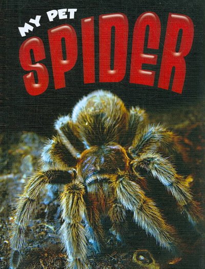 Spider : My pet / Michelle Lomberg.