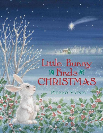 Little Bunny finds Christmas / Pirkko Vainio.