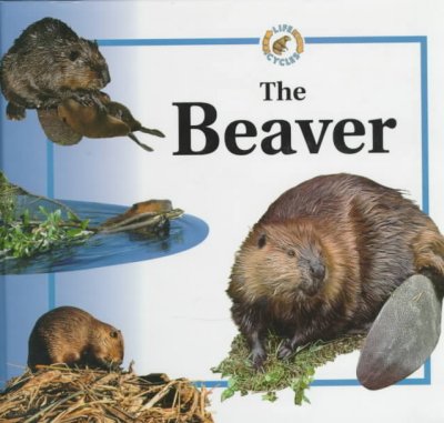The beaver / Sabrina Crewe ; [illustrator, Andrew Pepworth].