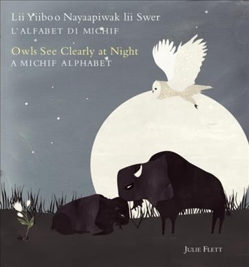 Lii yiiboo nayaapiwak lii swer : l'alfabet di Michif = Owls see clearly at night : a Michif alphabet / Julie Flett.
