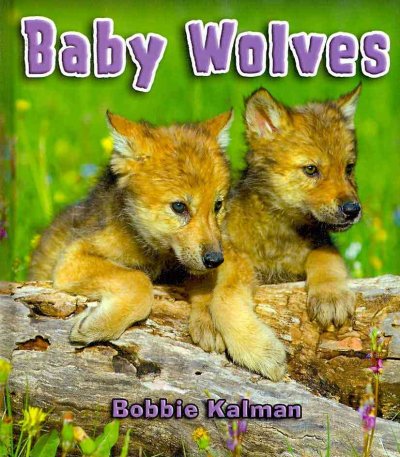 Baby wolves / Bobbie Kalman.