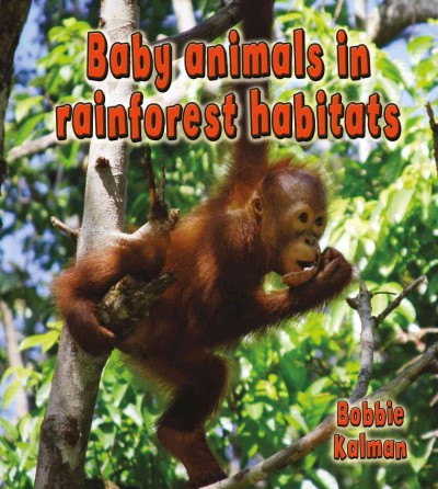 Baby animals in rainforest habitats / Bobbie Kalman.