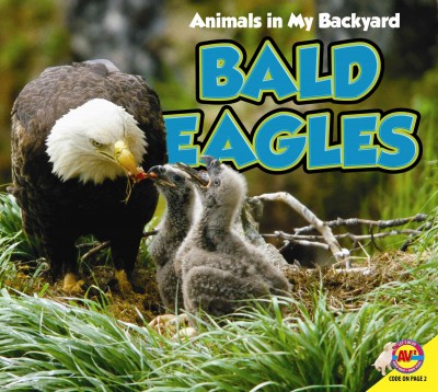 Bald eagle / Pamela McDowell.