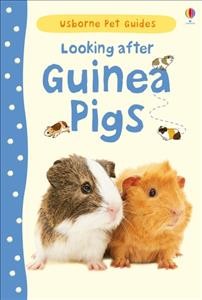 Looking after guinea pigs / Laura Howell ; designed by Joanne Kirkby ; edited by Sarah Khan ; illustrated by Cristyan Fox.