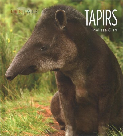 Tapirs / Melissa Gish.