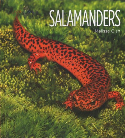 Salamanders / Melissa Gish.