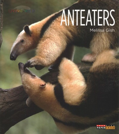 Anteaters / Melissa Gish.