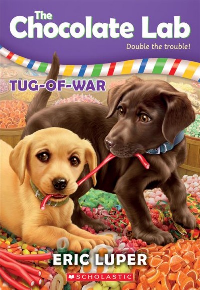 The chocolate lab : tug-of-war / by Eric Luper.