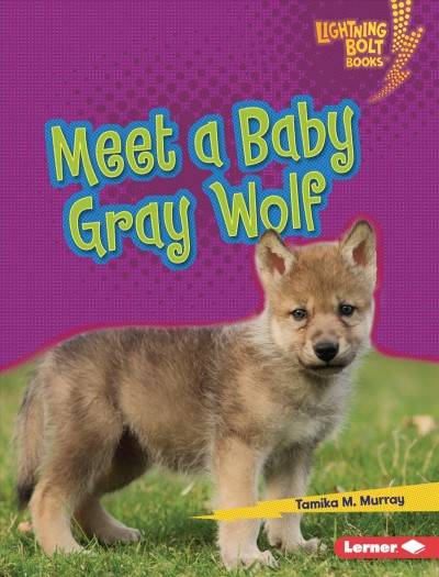 Meet a baby gray wolf / Tamika M. Murray.