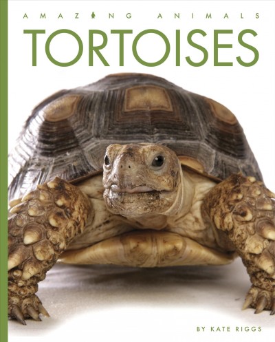 Tortoises / by Kate Riggs.