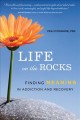 Life on the rocks : finding meaning in addiction and recovery  Cover Image