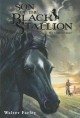 Son of the black stallion : Black Stallion series  Cover Image